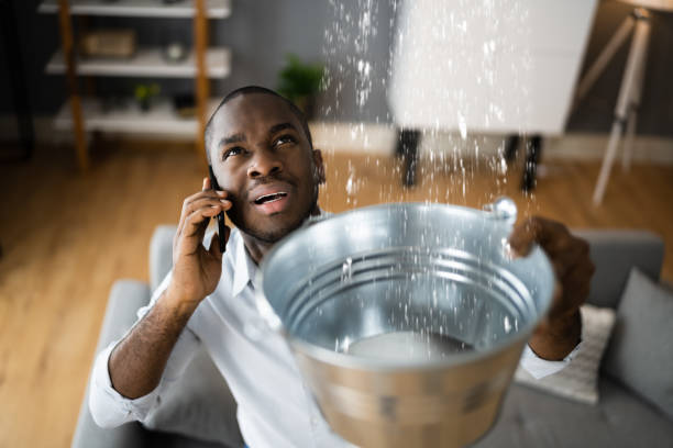Best Flooded house restoration  in Villa Ridge, MO