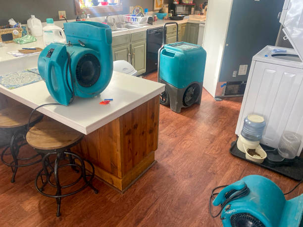Best Water damage restoration near me  in Villa Ridge, MO