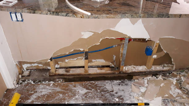Best Flood damage cleanup  in Villa Ridge, MO