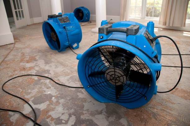 Best Sewage cleanup and water damage restoration  in Villa Ridge, MO