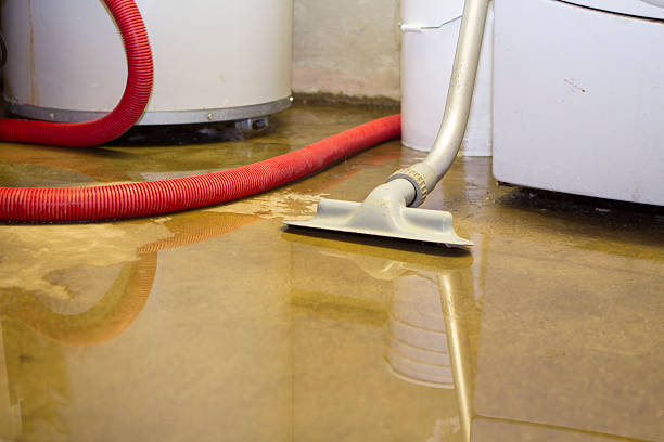 Best Basement water damage restoration  in Villa Ridge, MO