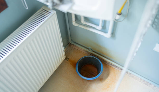 Best Residential water damage restoration  in Villa Ridge, MO