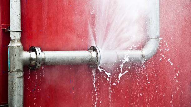 Best 24/7 water damage repair  in Villa Ridge, MO